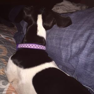 Meet your Posher, Amy